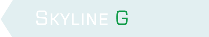 Skyline Group