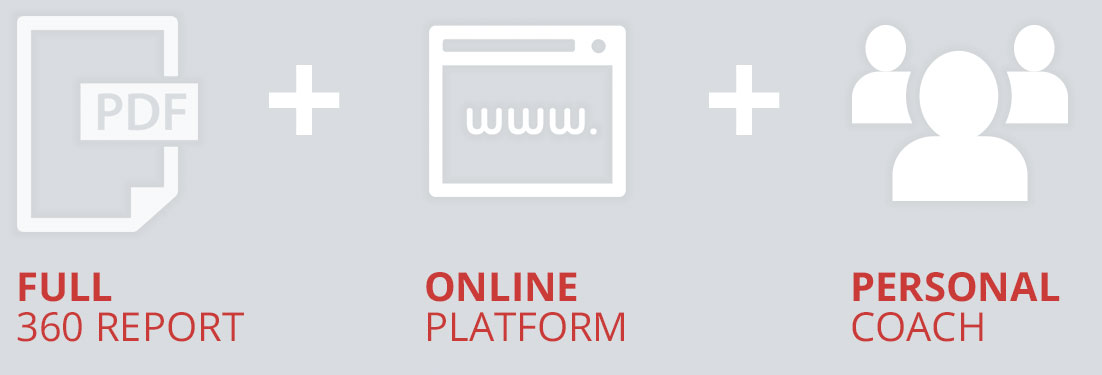 Full 360 Report, Online Content, Personal Coach